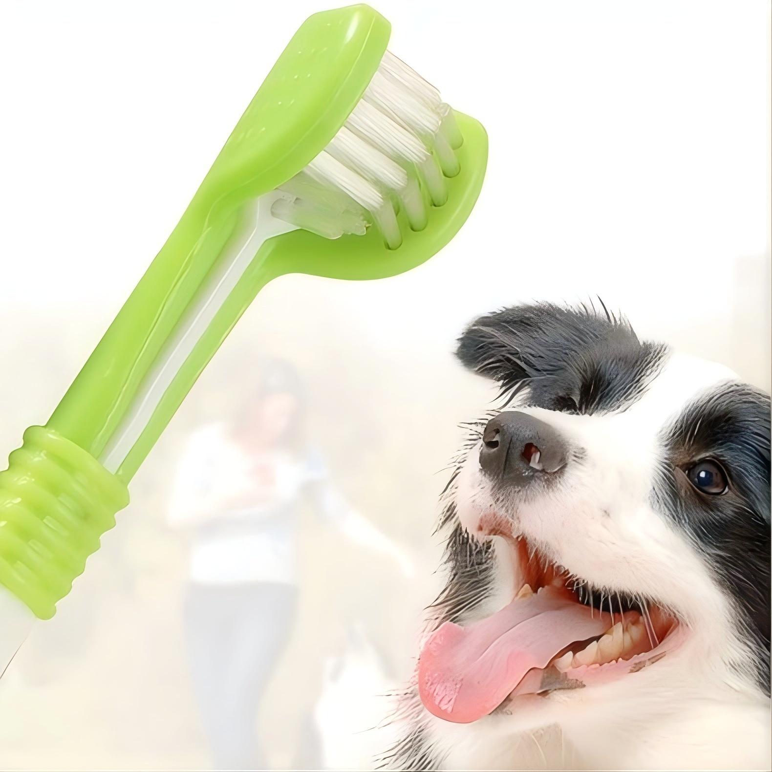 1Pc Pet Toothbrush Dog Cleanin - Teeth Whitening Mouthwash review and price